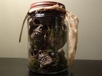 Craft Ideas Jars on Primitive Style Halloween Jar Of Skulls By Mysticallyenchanting   15