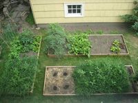Great tutorial on building raised garden bed (note: I would never use treated wood. not sure if this site mentioned that! also, good tip about laying newspaper before soil),